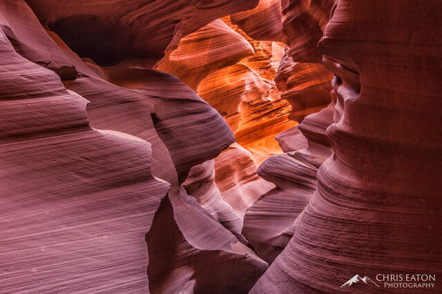 The Fissure