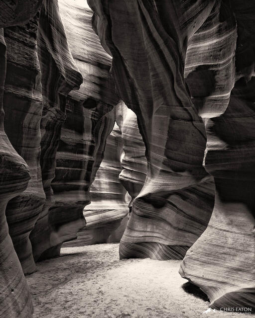 Sculptured Through Time