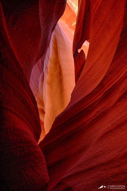 Antelope's Flame