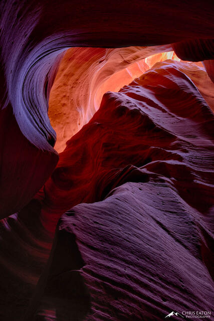 Deep in Canyon X