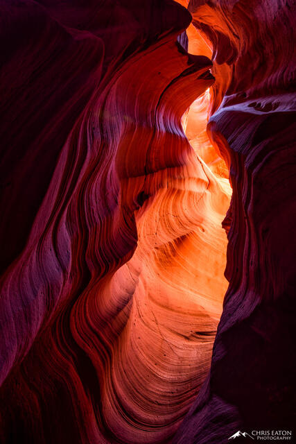 Deep Within Canyon X