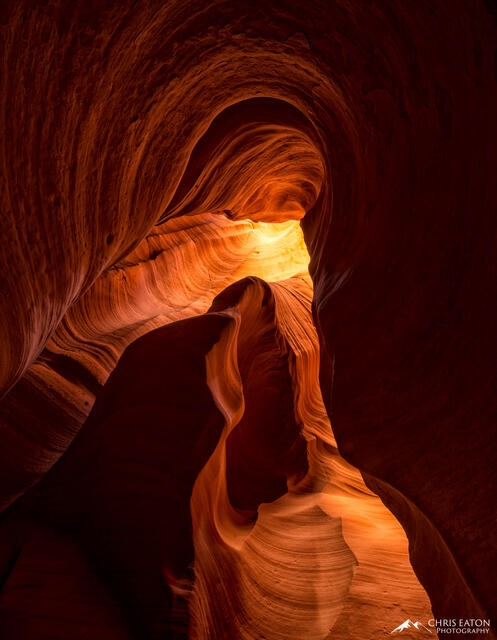 Deep Within Canyon X