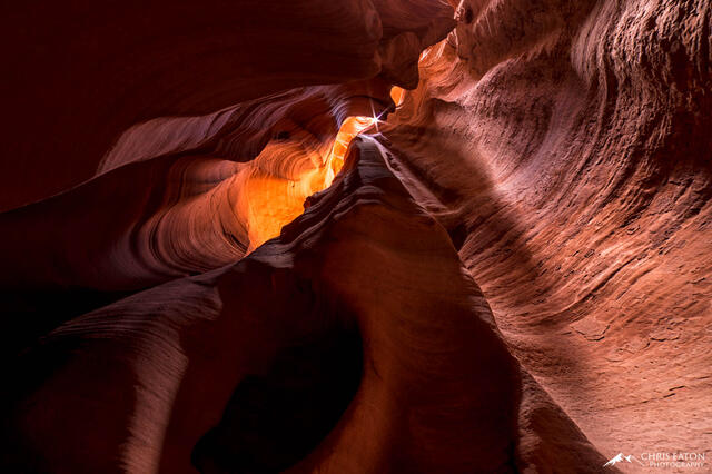 A Star is Born in Canyon X