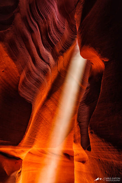 Solstice of Light