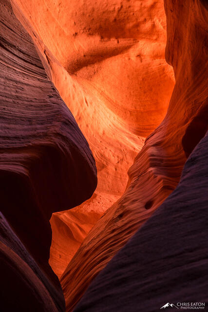 The Torch of Canyon X