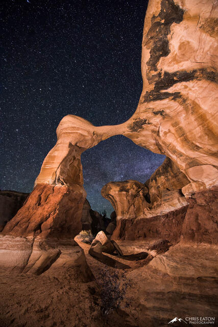 A night sky full of stars above Metate Arch in Grand Staircase-Escalante National Monument.