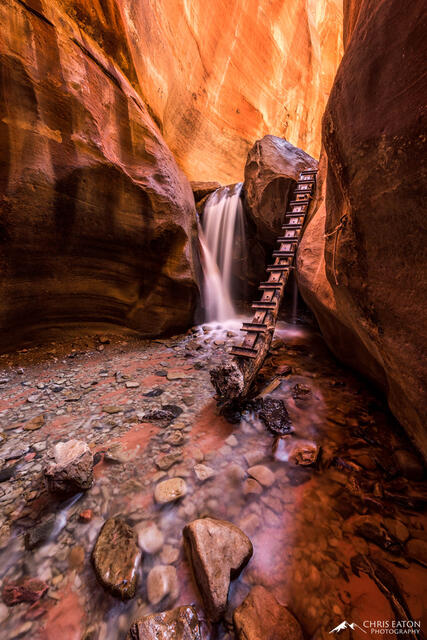 Falling Waters, Ascending Ladder