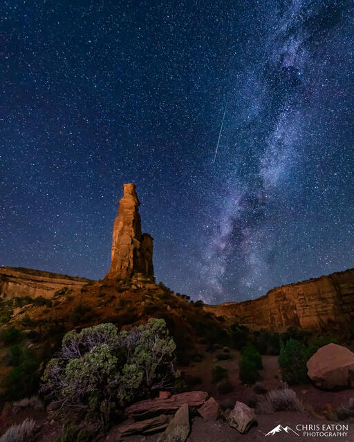 Perseid Descending