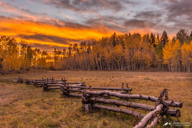 Sunset at True Grit Meadow