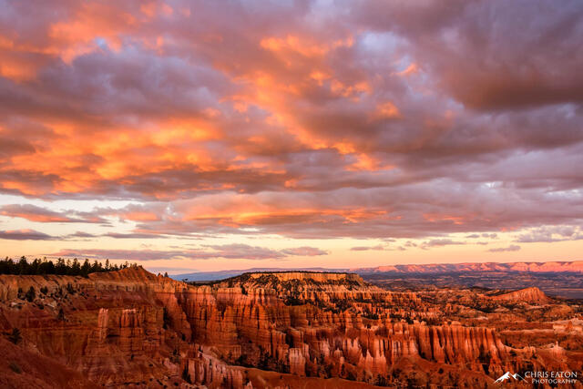 Fiery Evening Over Bryce Canyon