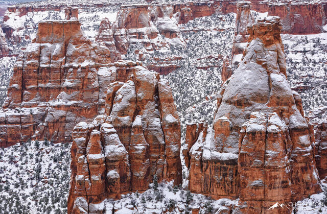 Frosted Monuments