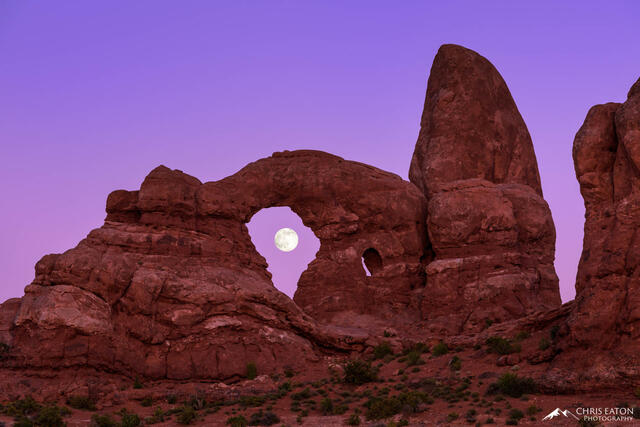 The full moon rises in the Belt of Venus and is seen through Turret Arch in Arches National Park.