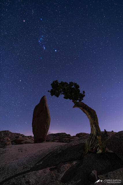 The constellation Orion rises above the Jumbo Rocks area of Joshua Tree National Park.