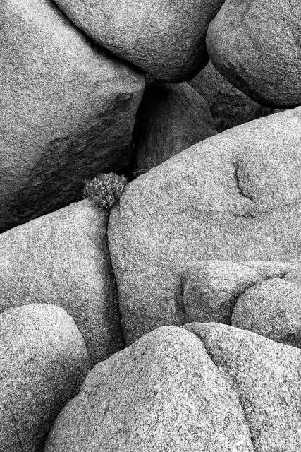 Life in a Crack