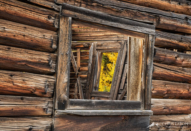 Autumn's Window