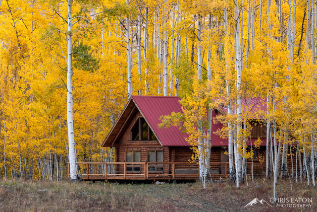 Cabin in the Woods II