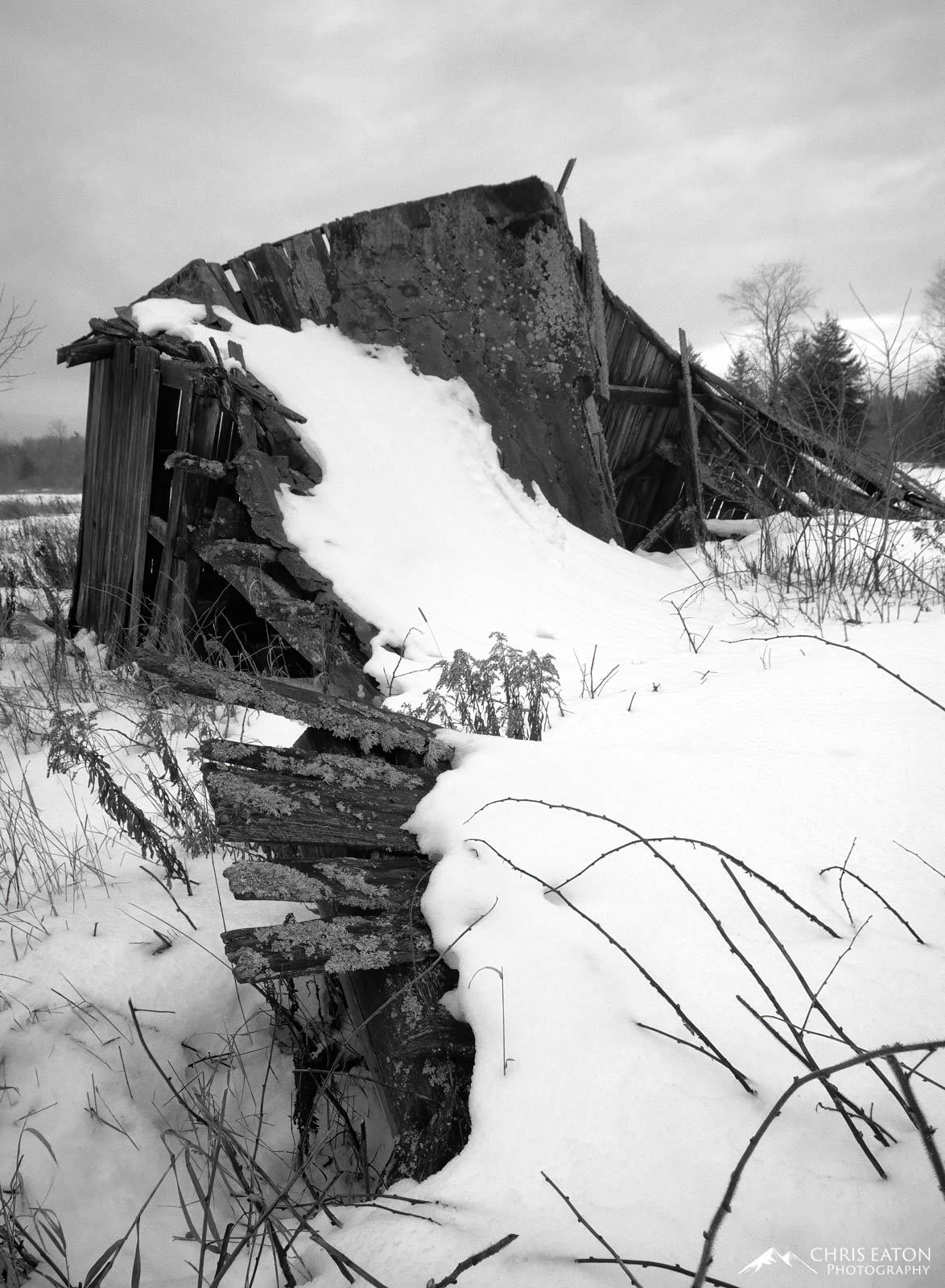 An old barn in the Iron River area of Michigan's Upper Peninsula has collapsed and is in the process of being reclaimed by winter...