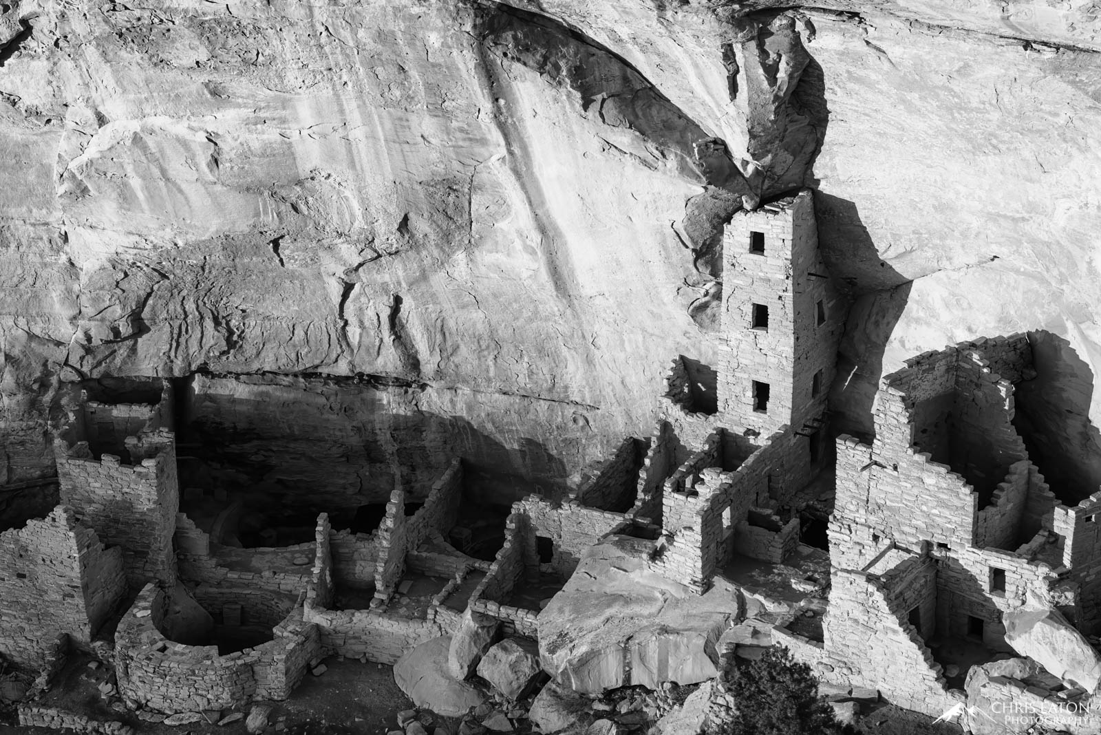 Around 1190 C.E., the inhabitants of the of Mesa Verde National Park region moved from pueblos on the mesa top to living in cliff...