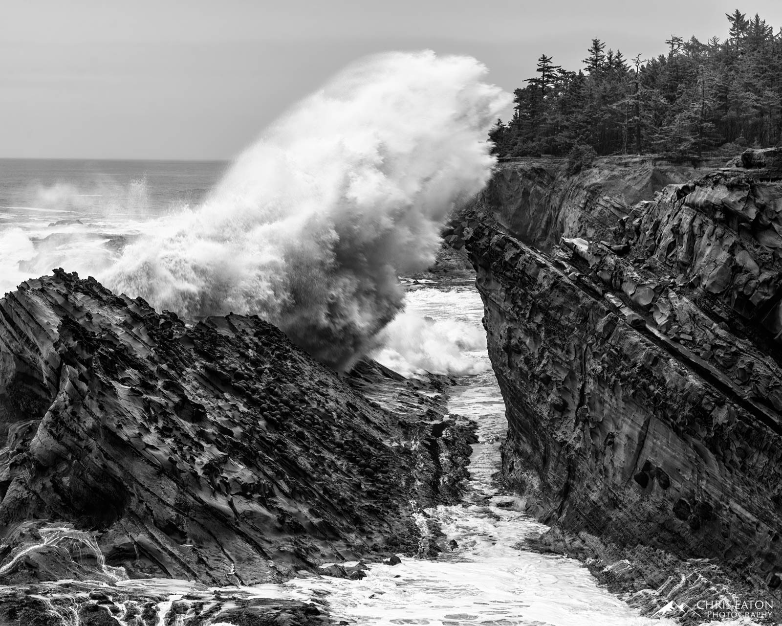 A wave crashes over basalt rocks along the Oregon Coast reaching above the coastal cliff of basalt as if it needs to reach the...