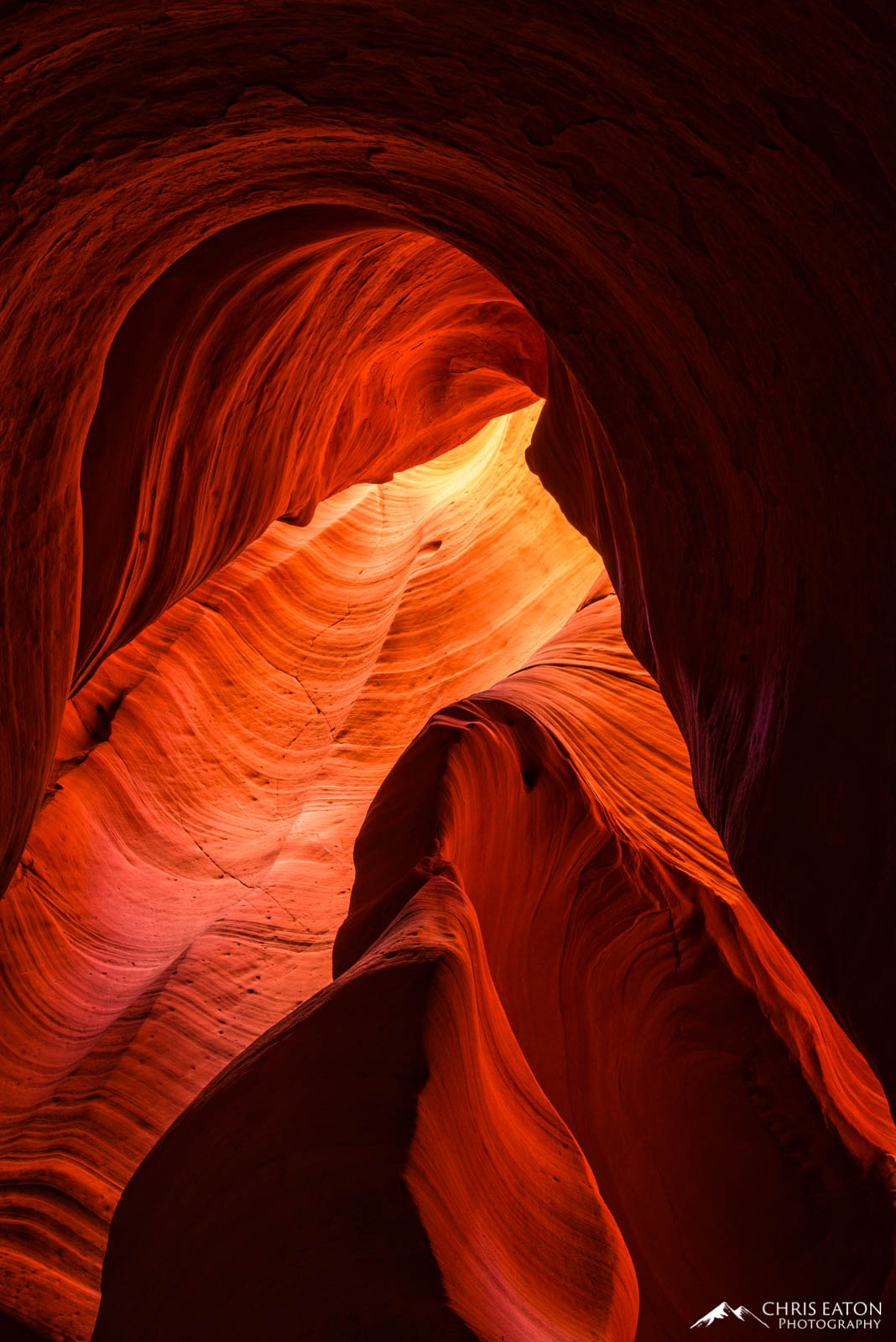 Slot Canyons are carved by the erosive force of flash floods. These floods rip through the soft Navajo Sandstone taking advantage...