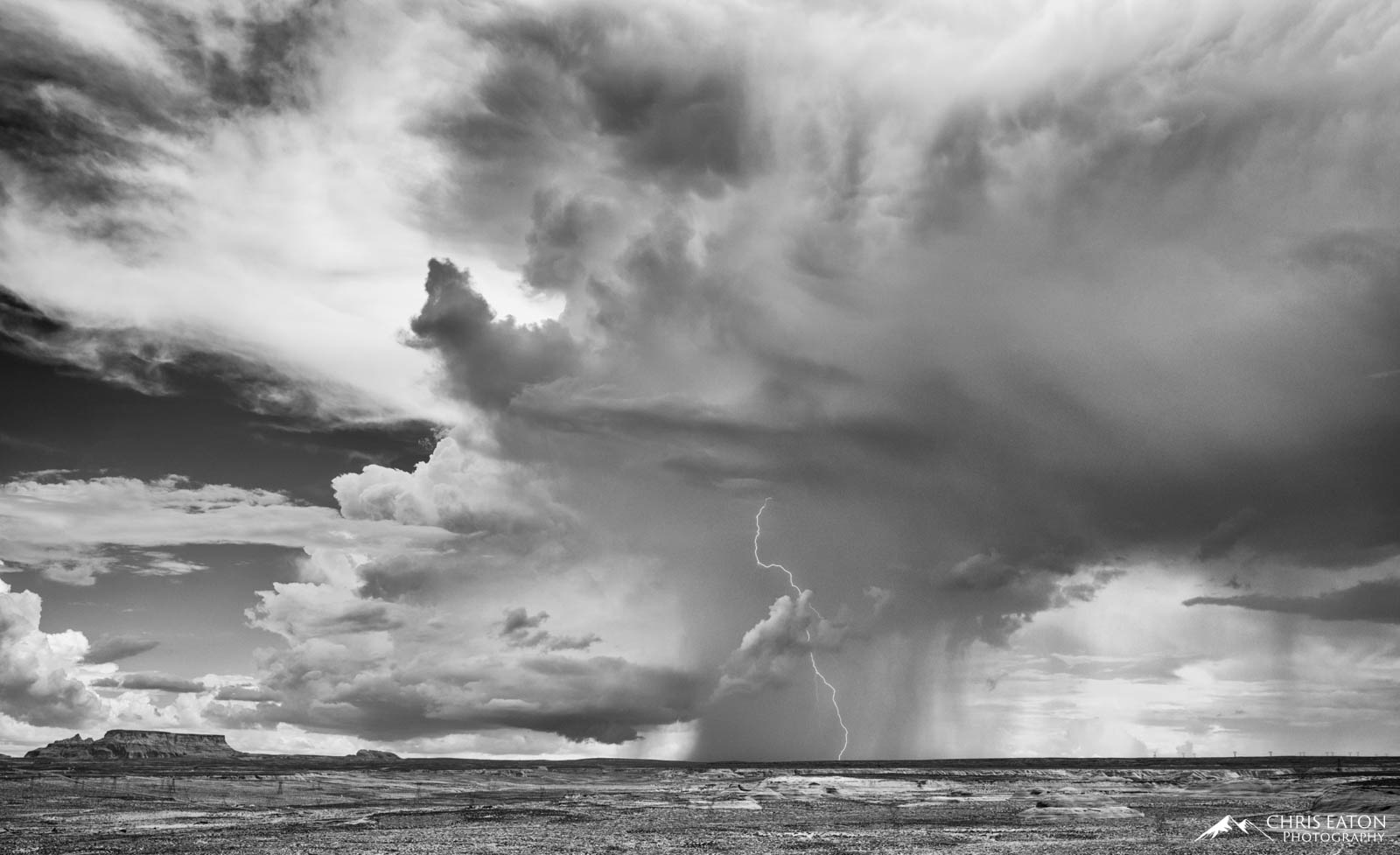 A classic thunderstorm ... the flat base of the updraft column on the left with the rain core on the right and the anvil rising...