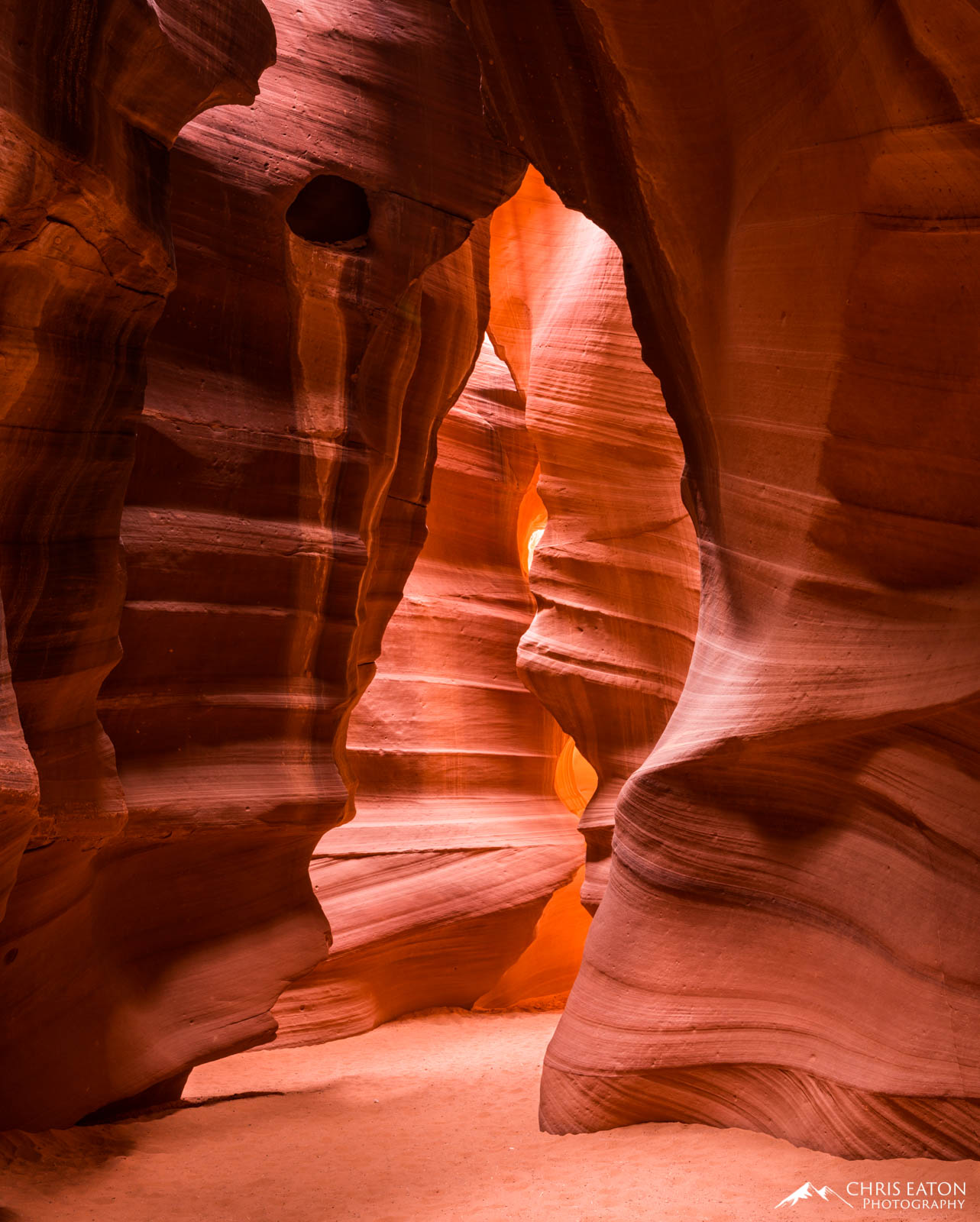 When looking back towards the entrance of Upper Antelope Canyon, the outline of a sitting bear emerges from the walls when bright...