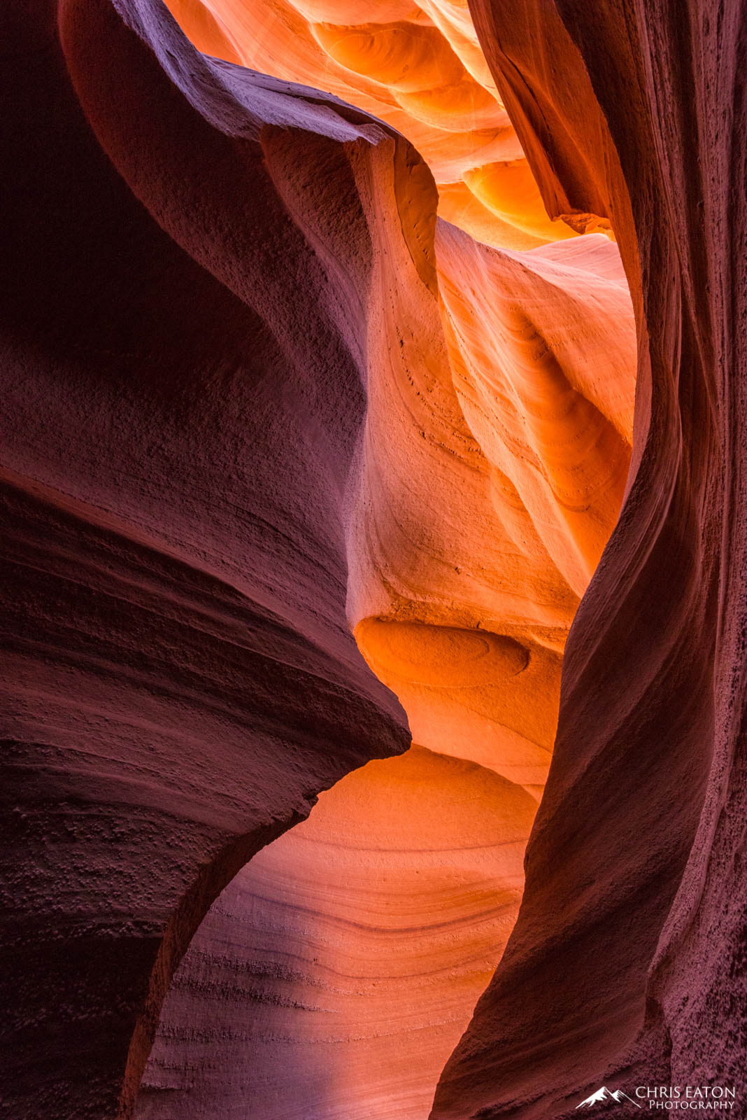 Reflected morning sunlight baths the curves of Lower Antelope Canyon; the Navajo Sandstone glows like lava.