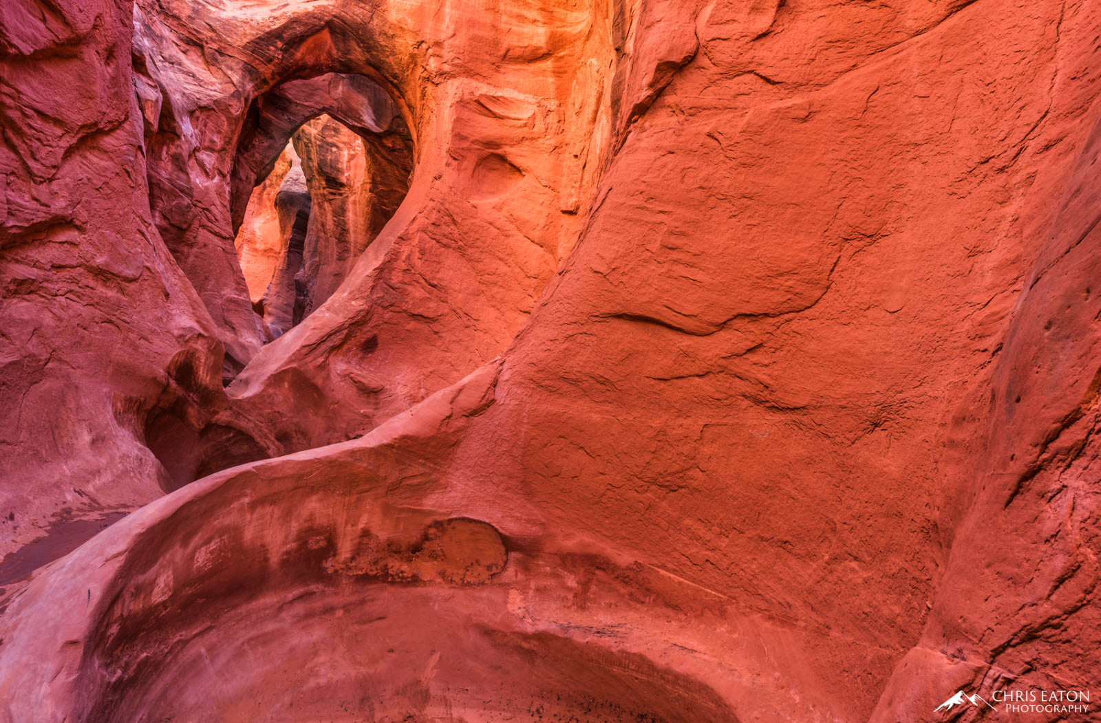 Peek-a-Boo Canyon, in the Escalante Canyons area of Grand Staircase-Escalante National Momunent, features a number of holes punched...