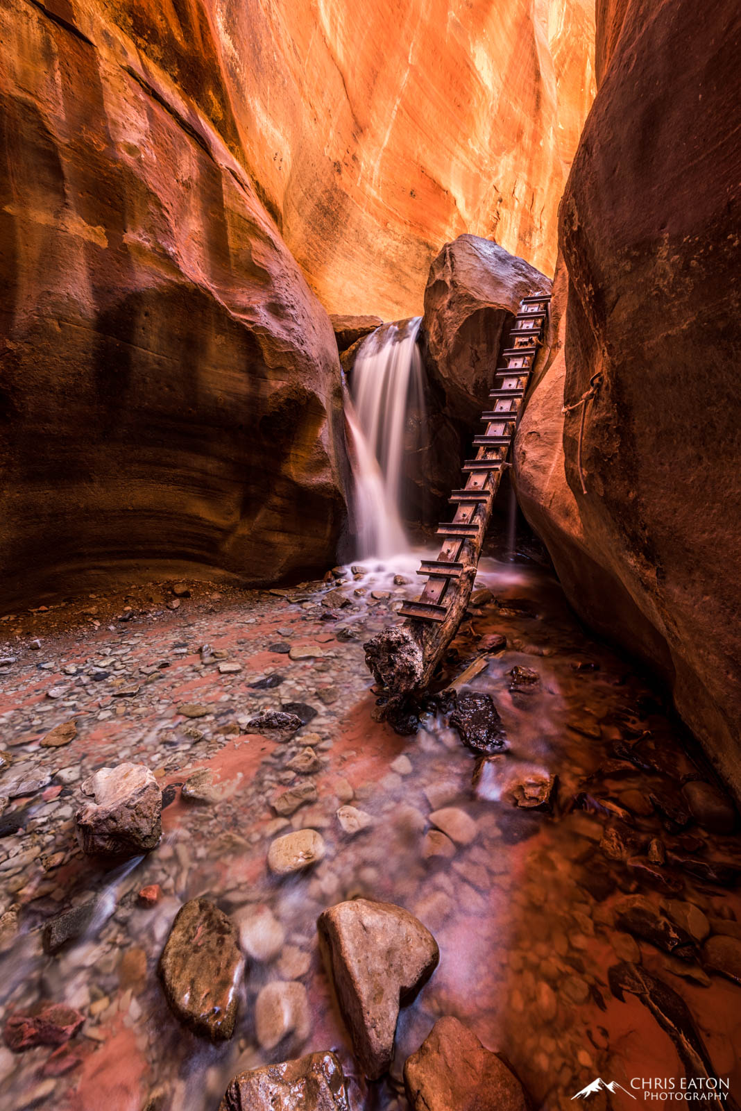 Falling Waters, Ascending Ladder Water carving through Navajo Sandstone at Kanarra Creek Falls, deeply descending through the edge of the Colorado Plateau; waterfalls...
