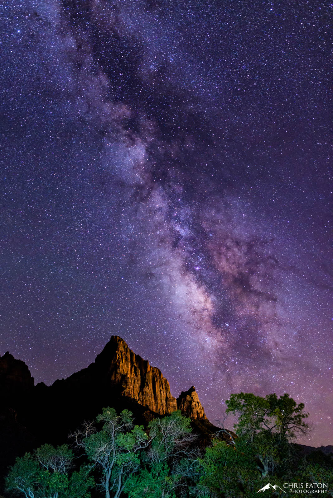 The Milky Way over The Watchman in Zion National Park.