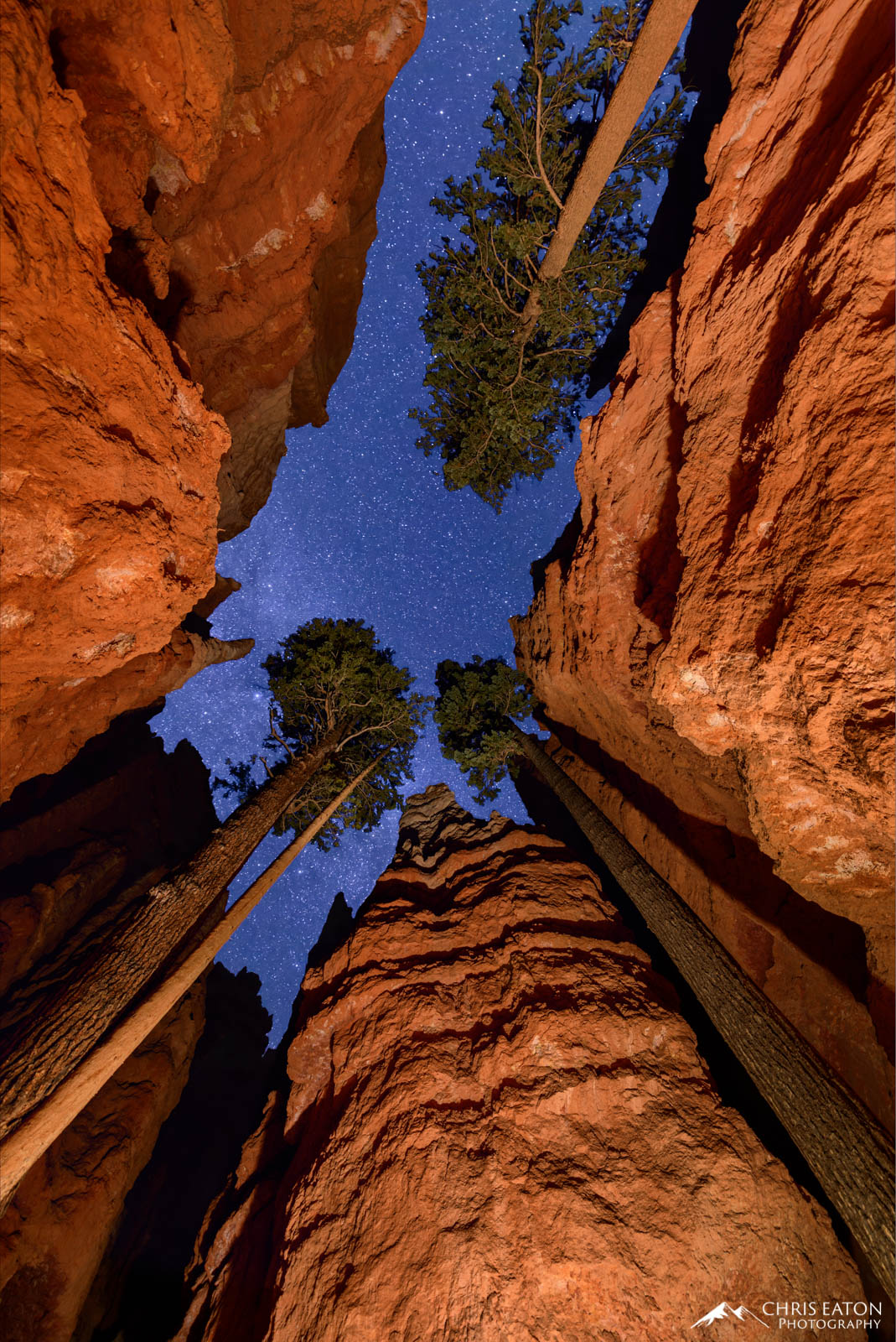 Reaching for the Stars The night sky full of stars above Wall Street in Bryce Canyon National Park.