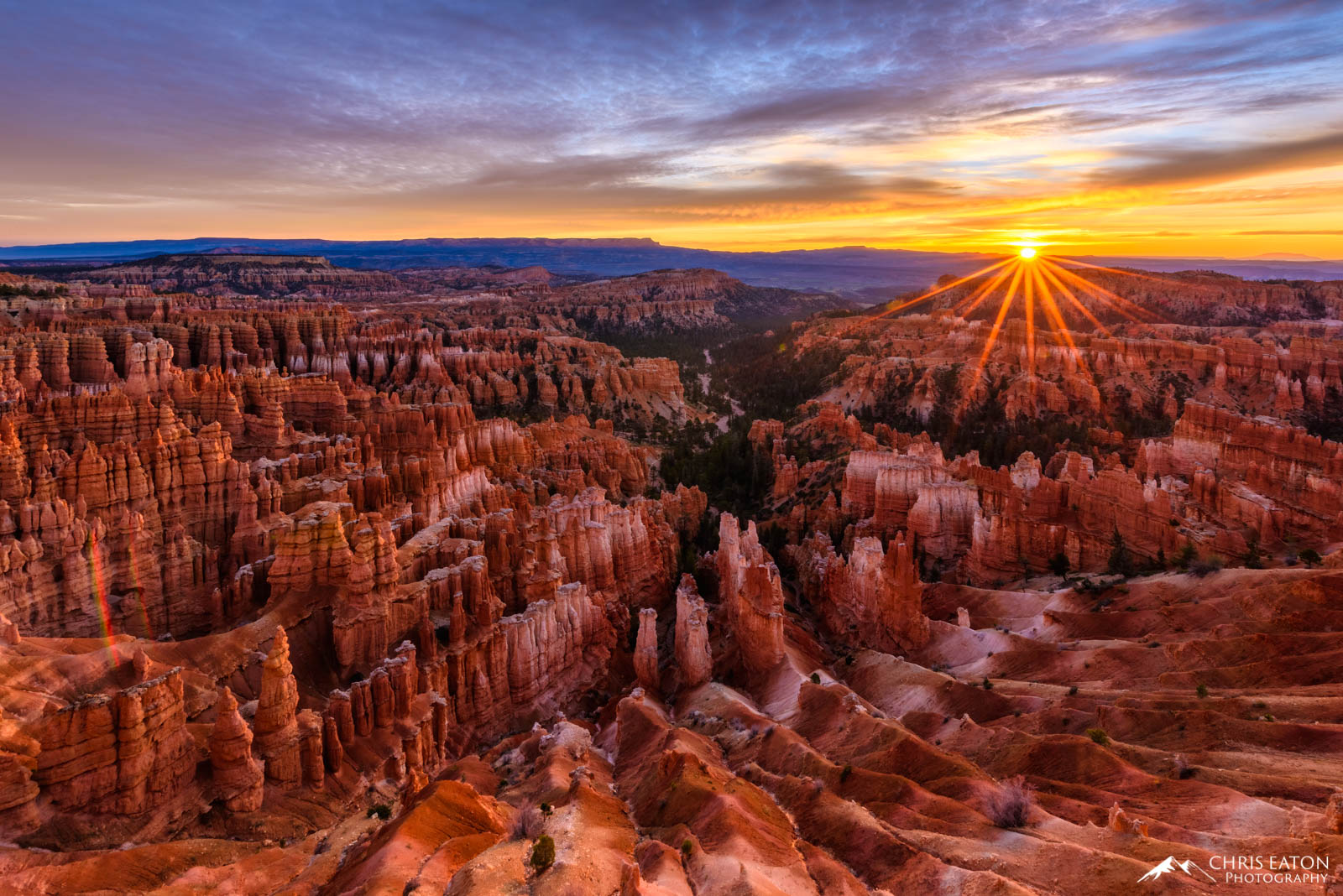 The first light of the rising sun rakes across the hoodoos of the amphitheatre at Bryce Canyon National Park. Formed from ancient...