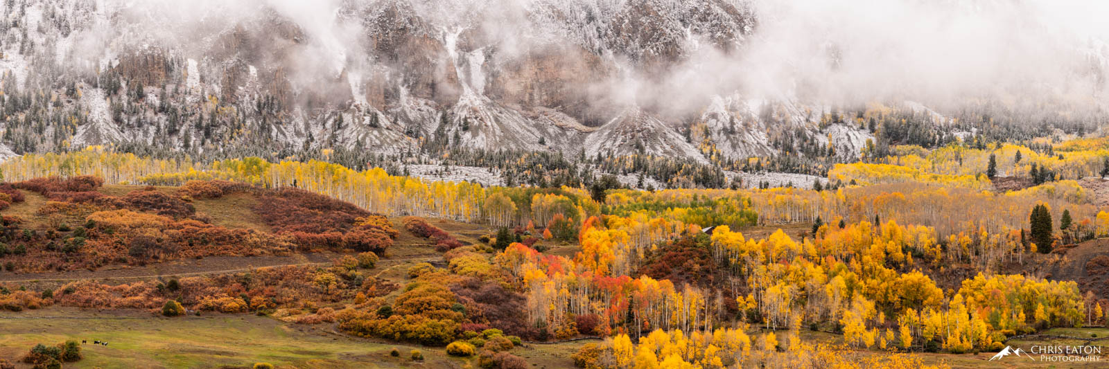 The seasons collide in the San Juan Moiuntains near Telluride, Colorado as an early winter storm coats the upper reaches of the...