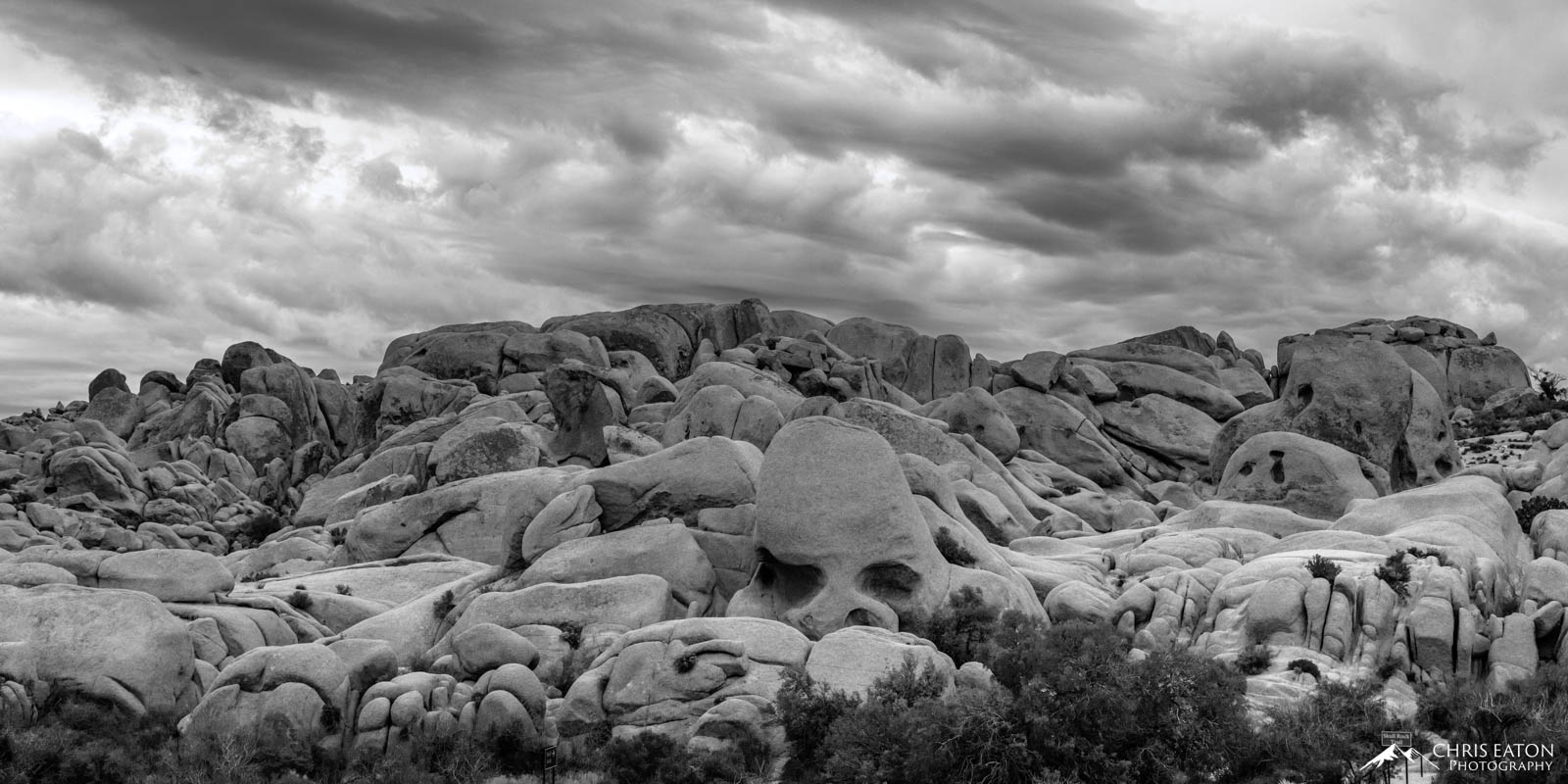 One of the defining features of Joshua Tree National Park is the monzogranite. Formed deep in the earth and then exposed by erosion...