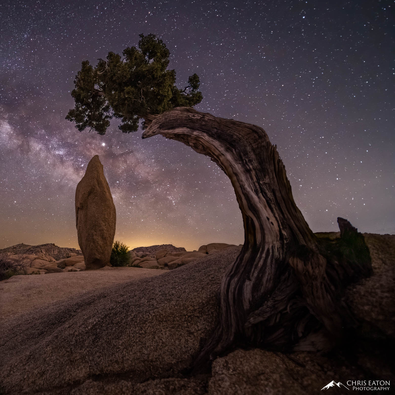 The Milky Way rises above the Jumbo Rocks area of Joshua Tree National Park.