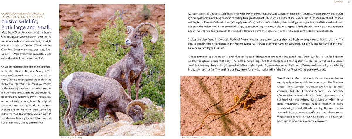 Colorado National Monument inside book sample